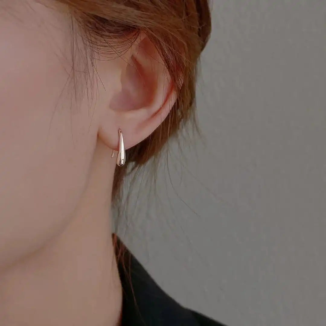 Water Drop Polished Earrings