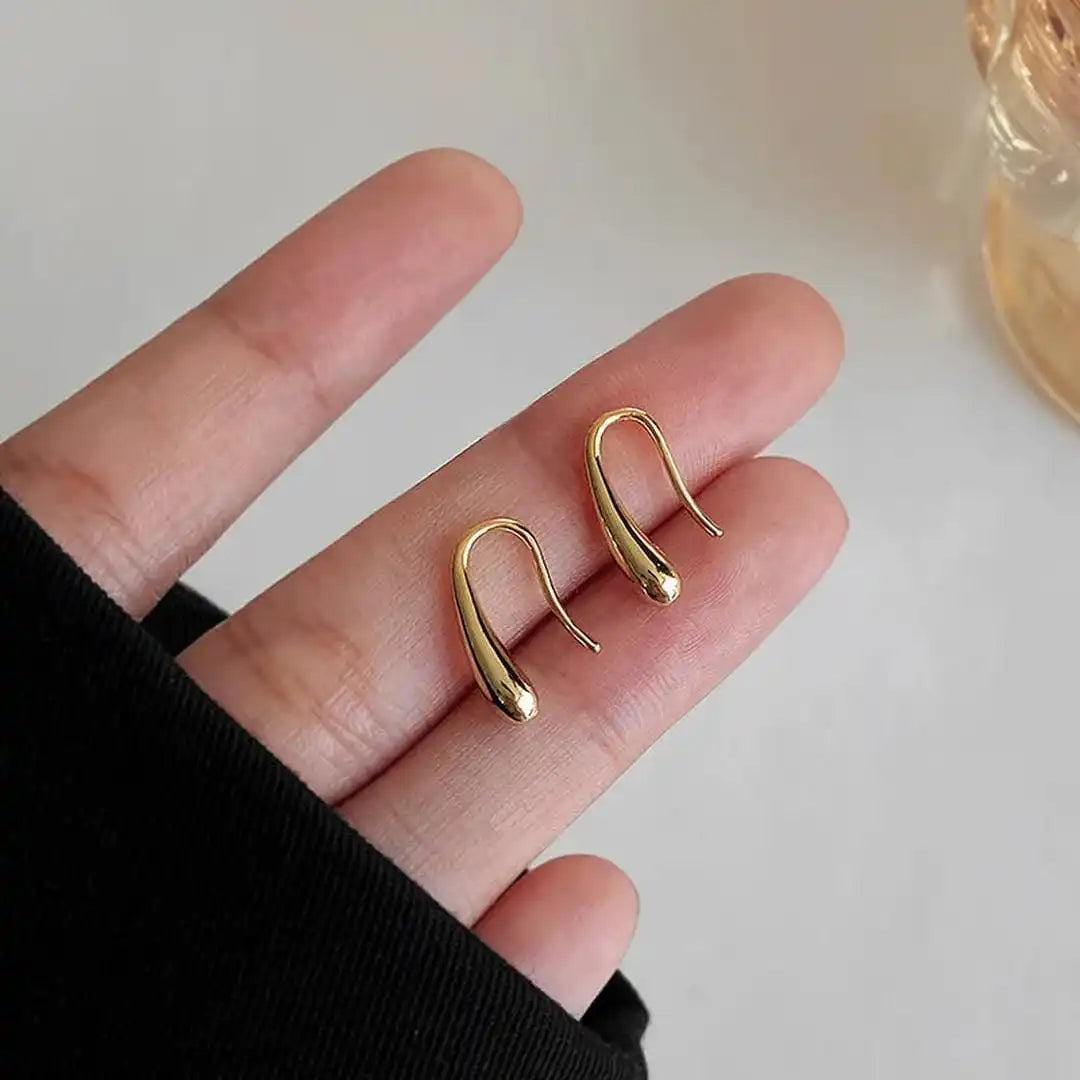 Water Drop Polished Earrings