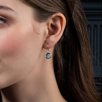 Chic Blue Crystal Earrings