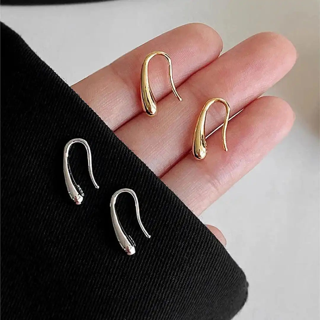 Water Drop Polished Earrings