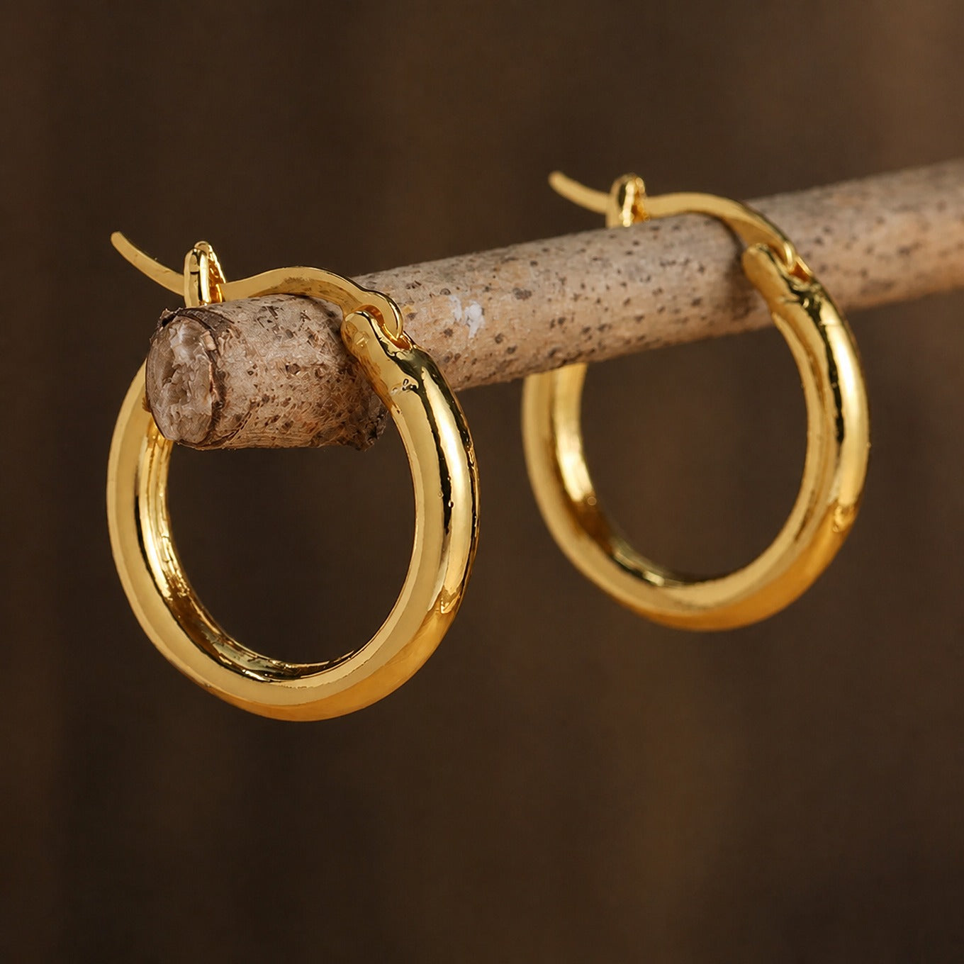 Regal Gold Silver Hoops