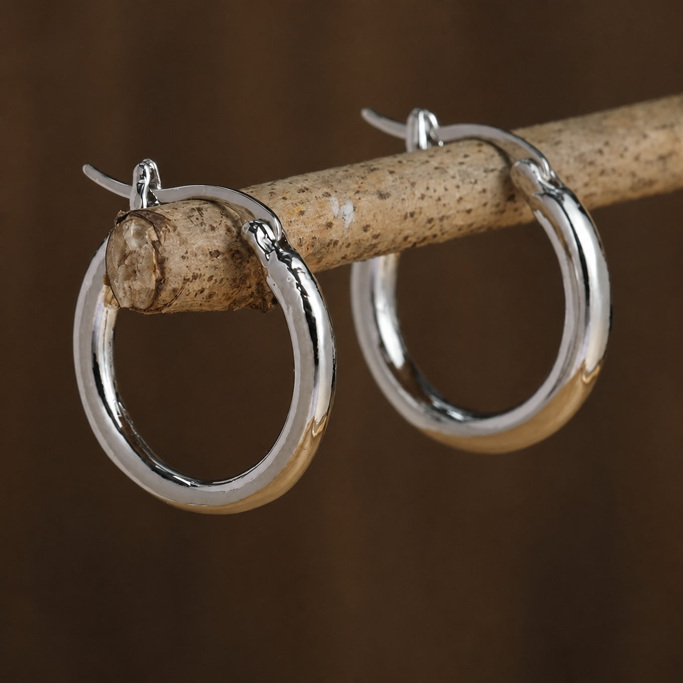 Regal Gold Silver Hoops