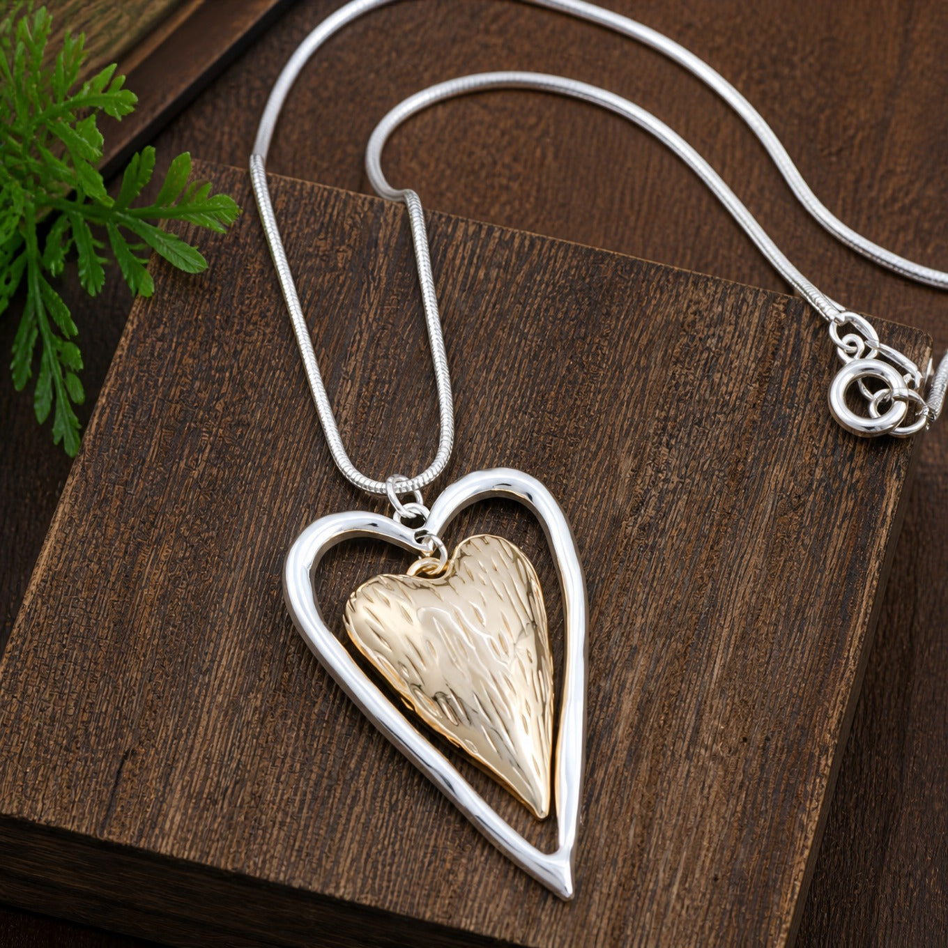Timeless Heart Duo Necklace